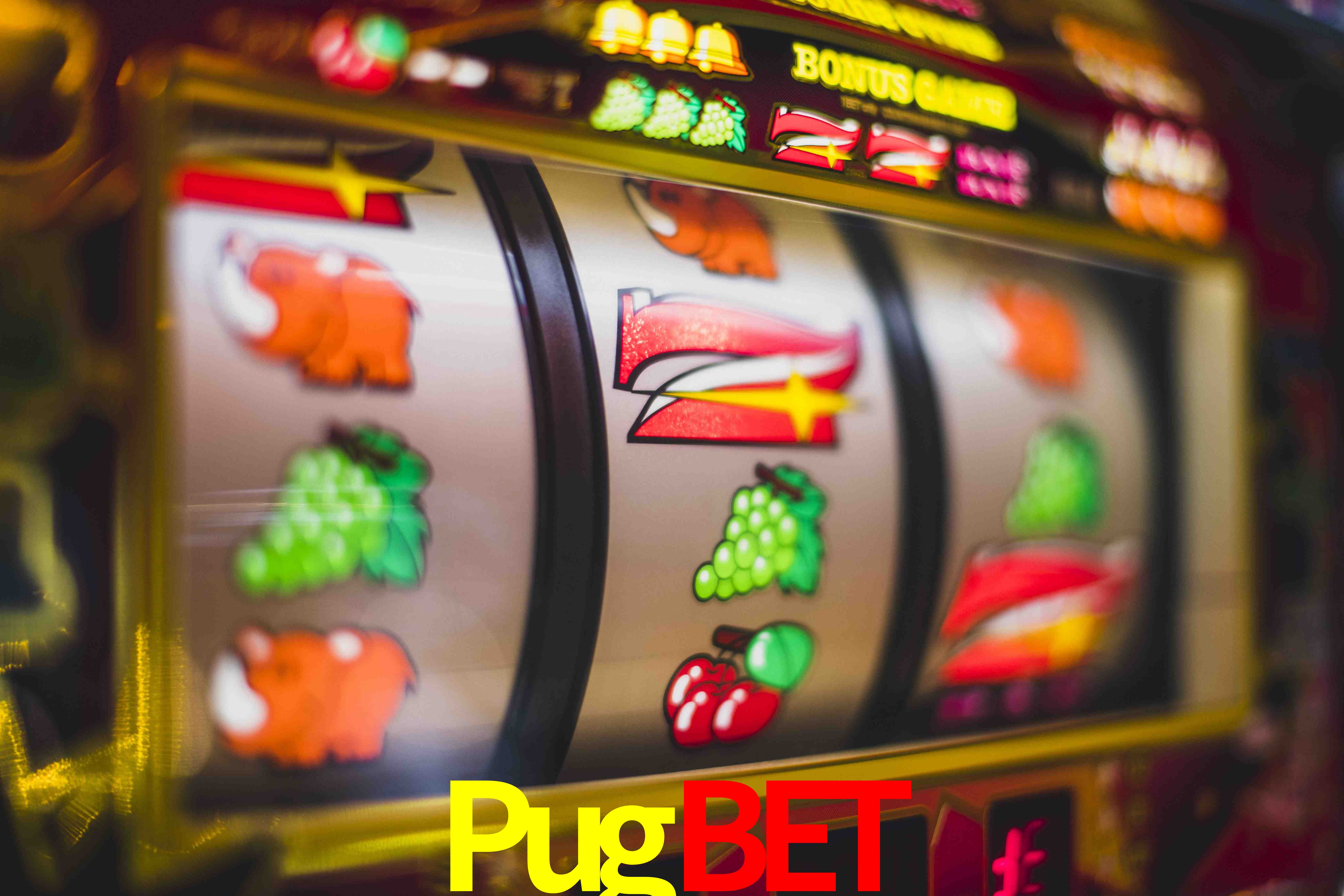 Tennis Betting Pugbet